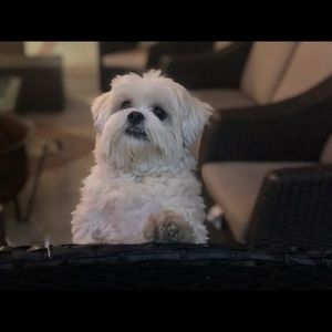 Meet your Posher, Cindy